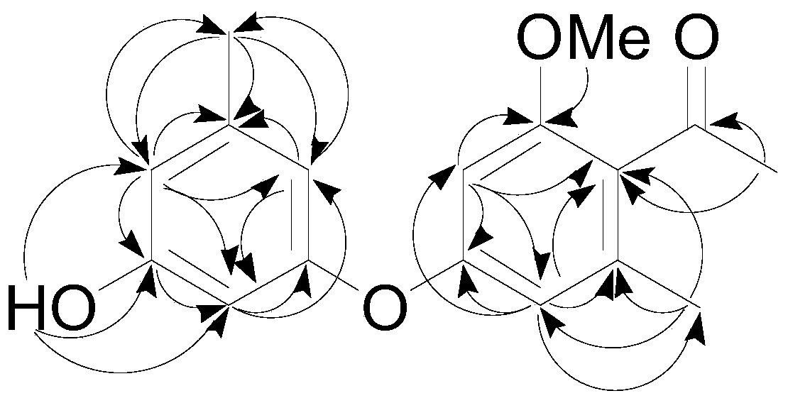 A diphenyl ether compound with antibacterial activity in honeysuckle and its preparation method and application