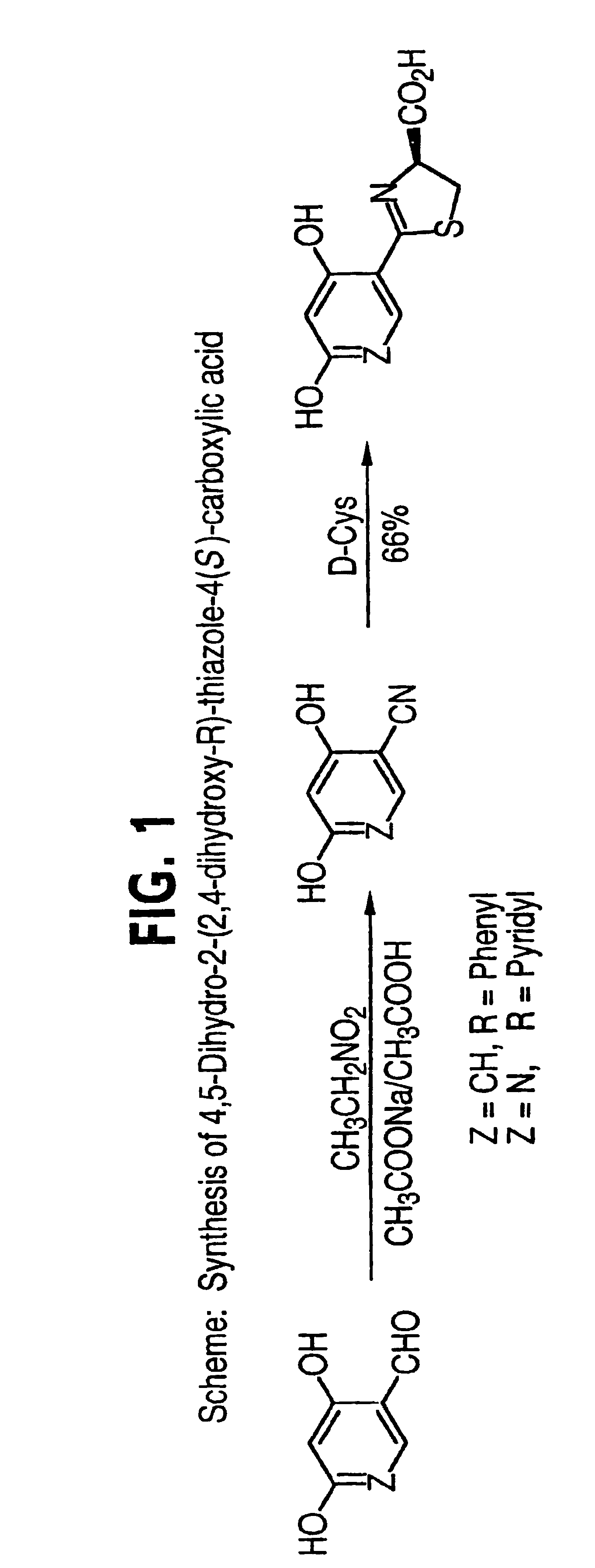 Thiazoline acid derivatives