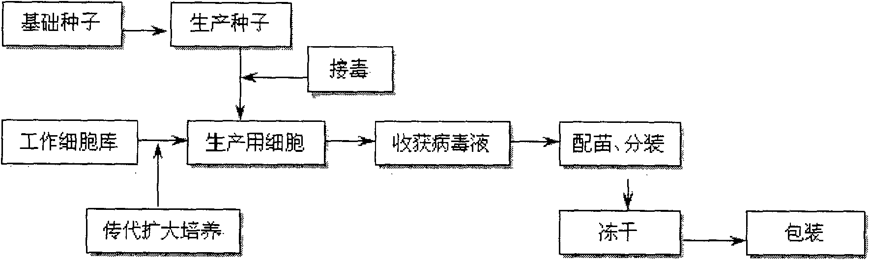 Method for producing swine fever live vaccine by using porcine kidney cell line (IBRS-2) and product thereof