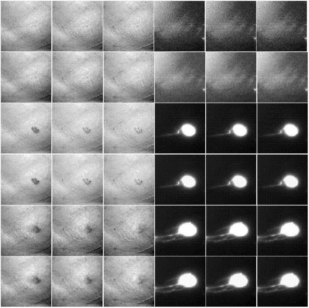 Complementary-measurement time resolution single-photon spectrum counting imaging system and method