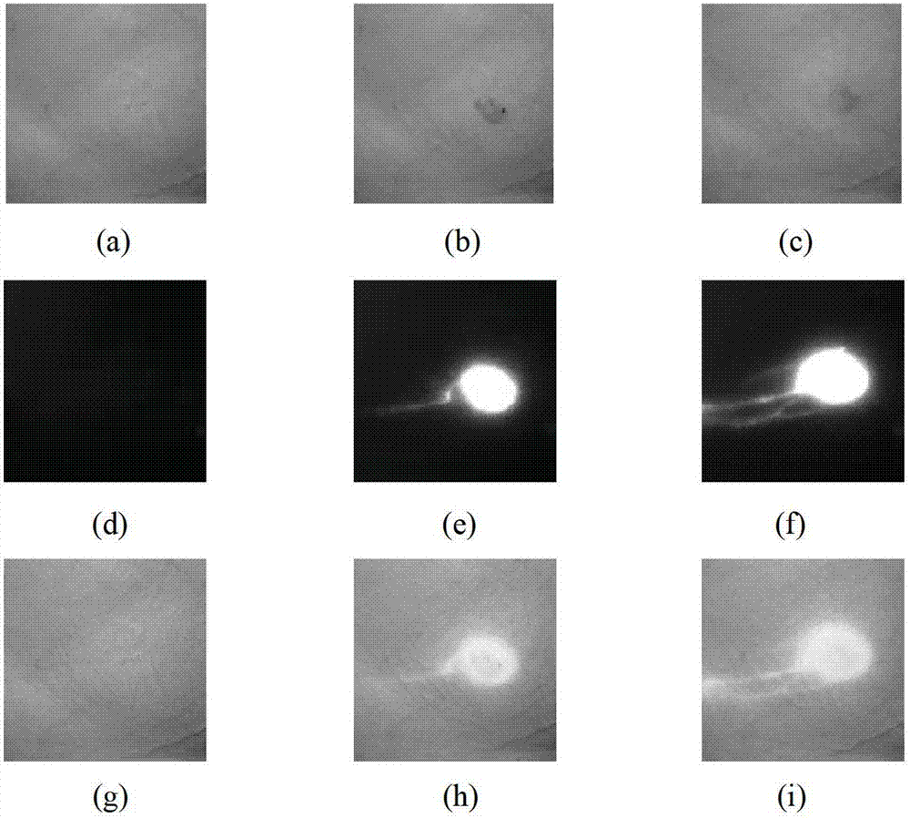 Complementary-measurement time resolution single-photon spectrum counting imaging system and method