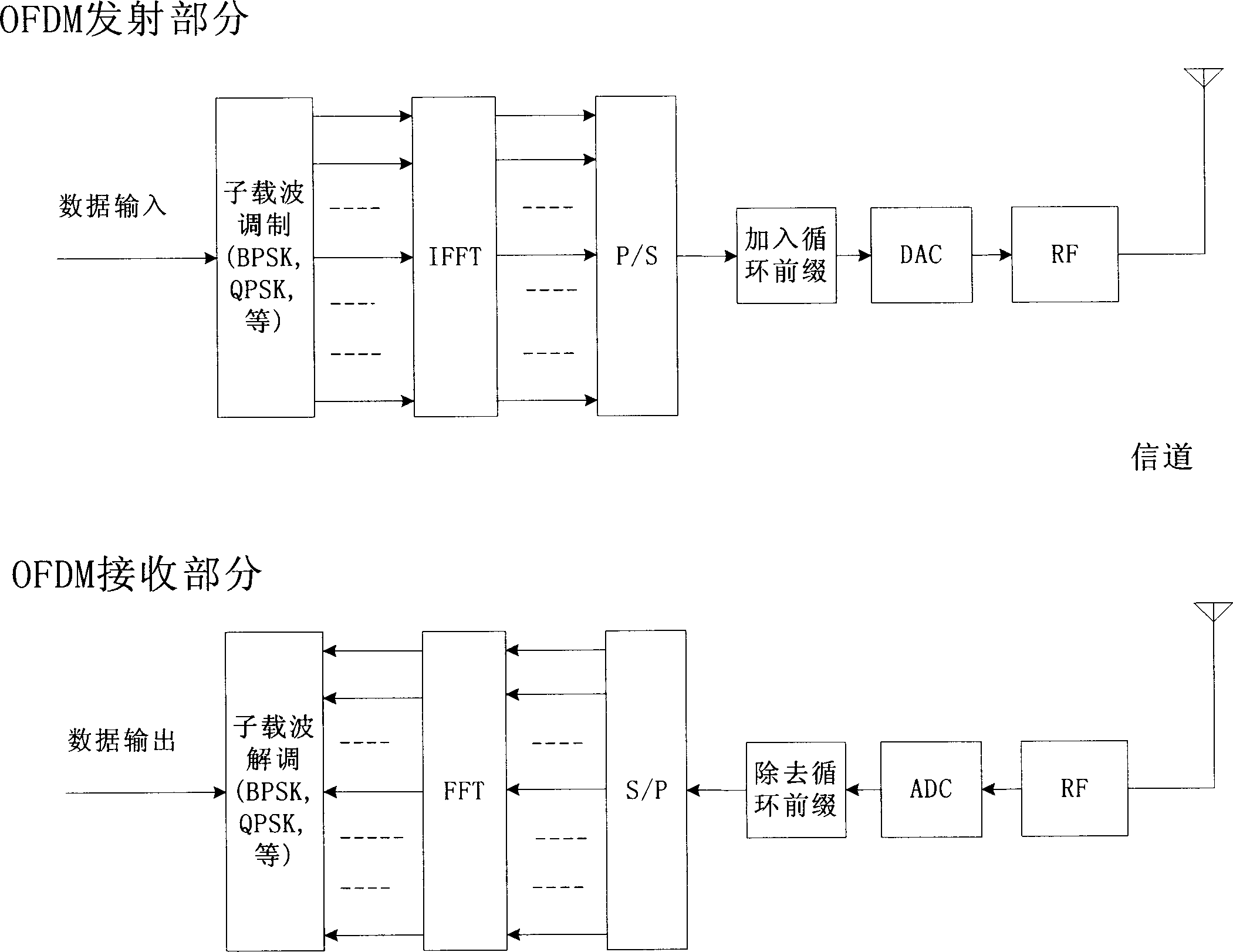 Method and apparatus for diversity receiving OFDM signal by time domain oversampling