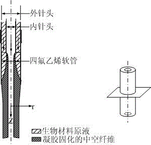 One-stop preparation method of vascularized life structure