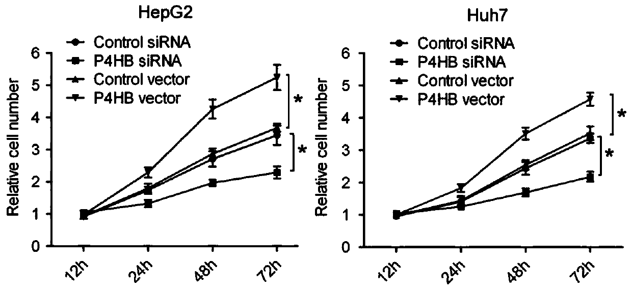 A kind of inhibitor of p4hb gene expression and its application