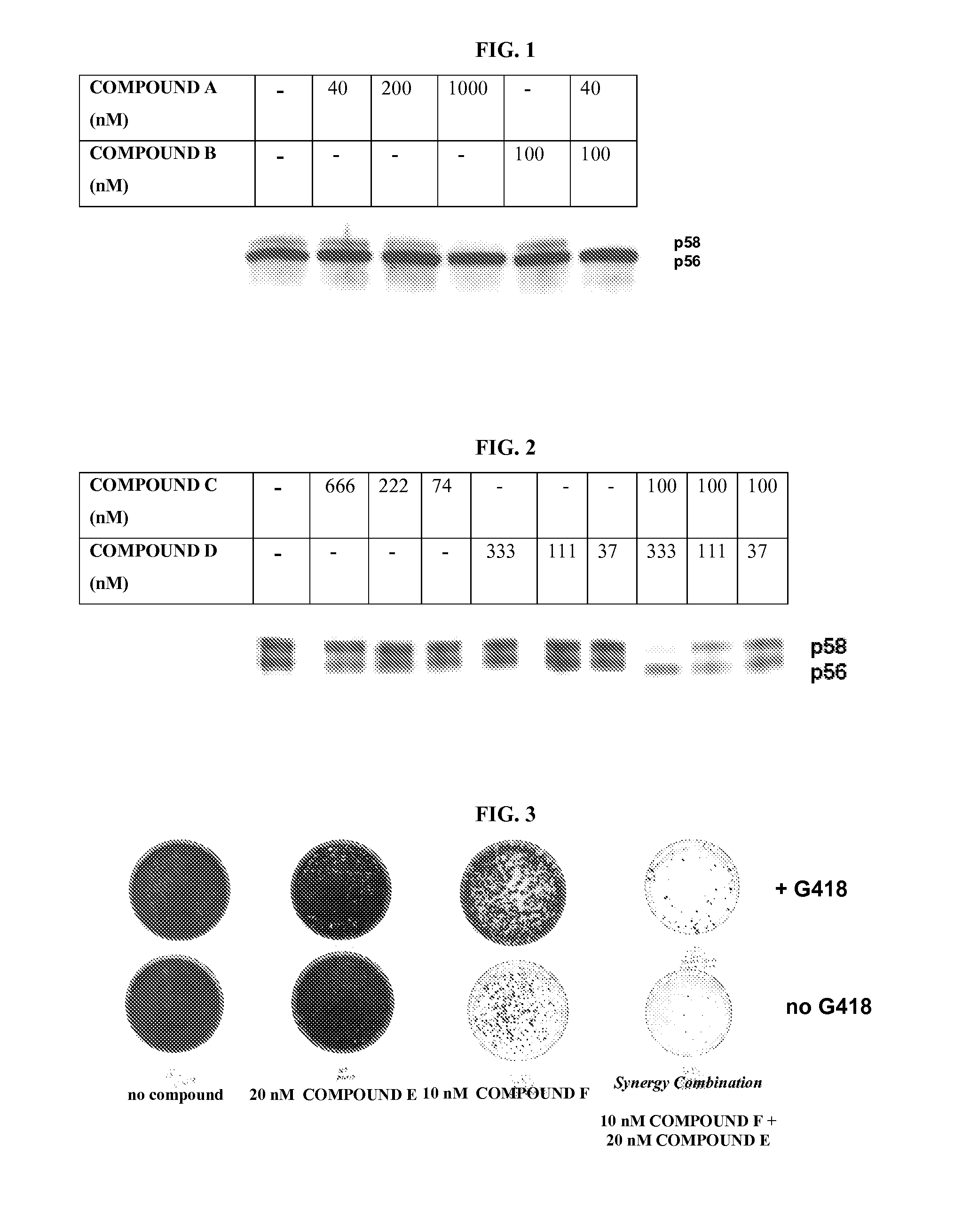 Methods to identify combinations of ns5a targeting compound that act synergistically to inhibit hepatitis c virus replication