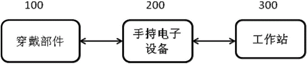 Equipment, system and method for testing cardiac motion function