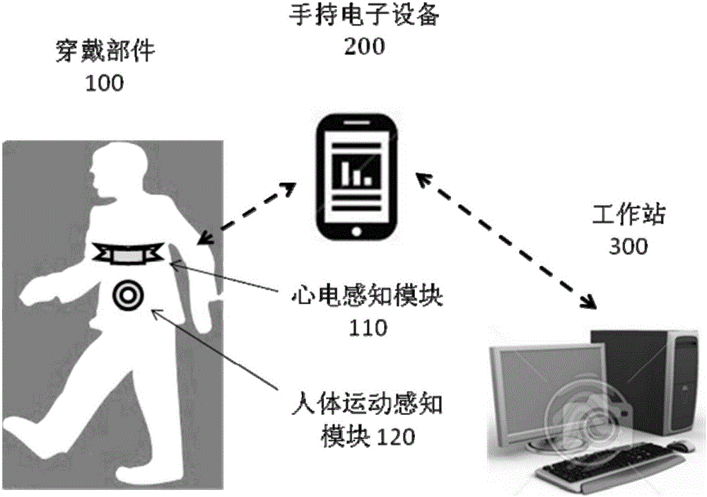 Equipment, system and method for testing cardiac motion function