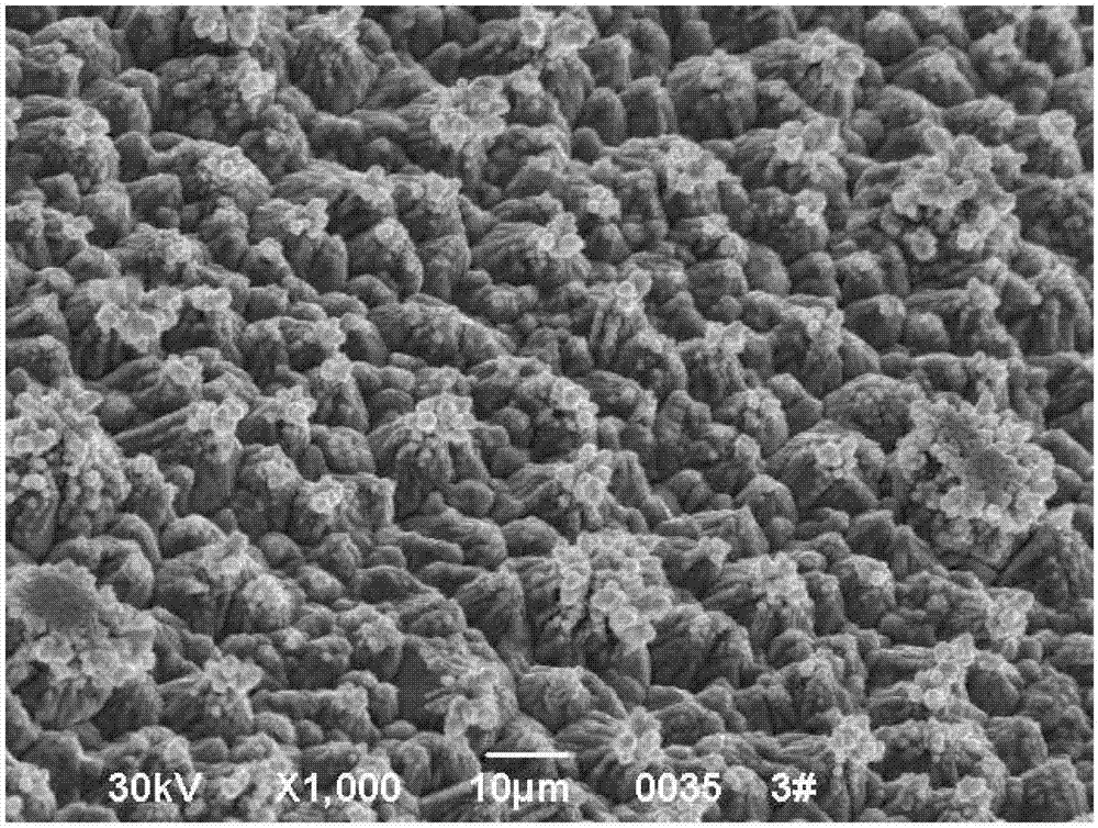 Additive for roughening surface of copper foil