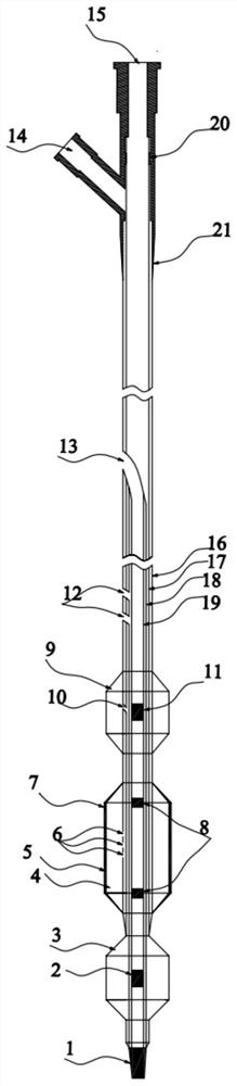 A drug balloon catheter with blocking function