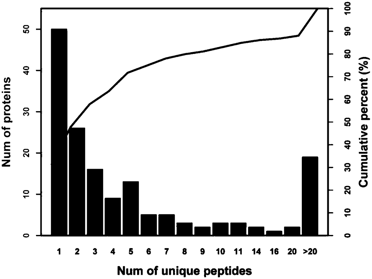 Method for researching differentially expressed proteins of triple negative breast cancer exosomes by using iTRAQ technology