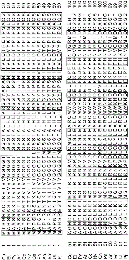 HEMOGLOBIN A1c MEASUREMENT METHOD AND MEASUREMENT KIT