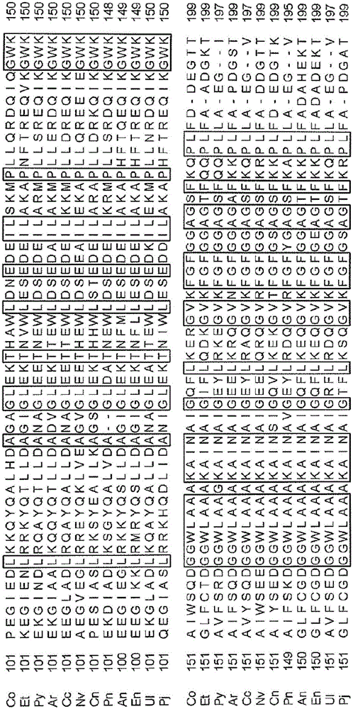 HEMOGLOBIN A1c MEASUREMENT METHOD AND MEASUREMENT KIT