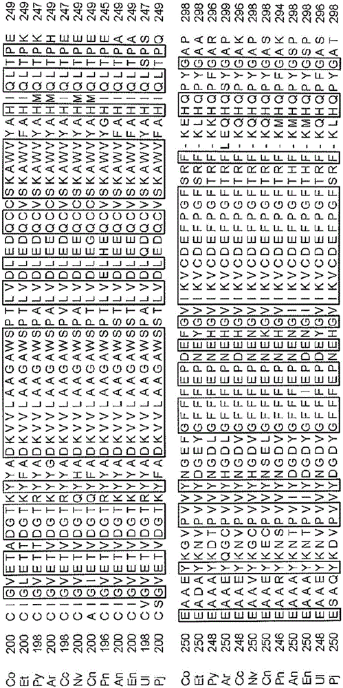 HEMOGLOBIN A1c MEASUREMENT METHOD AND MEASUREMENT KIT