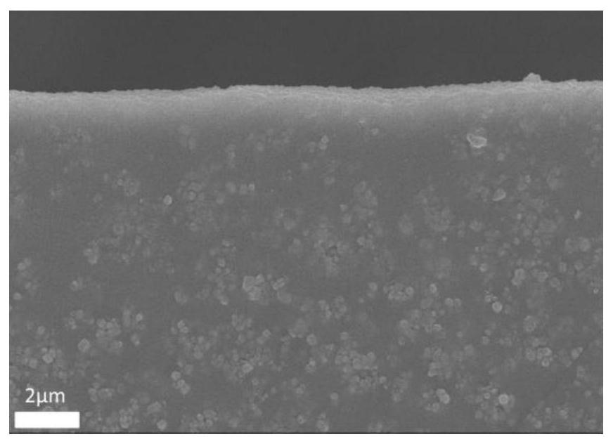 MOF material grafted with phospholipid bilayer on surface as well as preparation method and application of MOF material