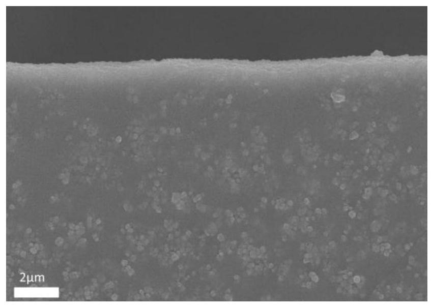 MOF material grafted with phospholipid bilayer on surface as well as preparation method and application of MOF material