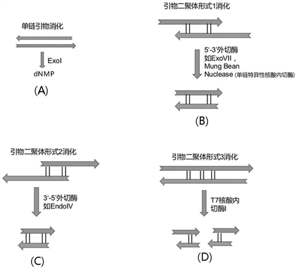 A method and kit for enriching circulating tumor DNA based on multiplex PCR