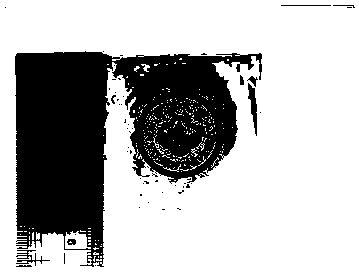 Metal patterned transparent photosensitive polyimide film, and preparation method and application thereof