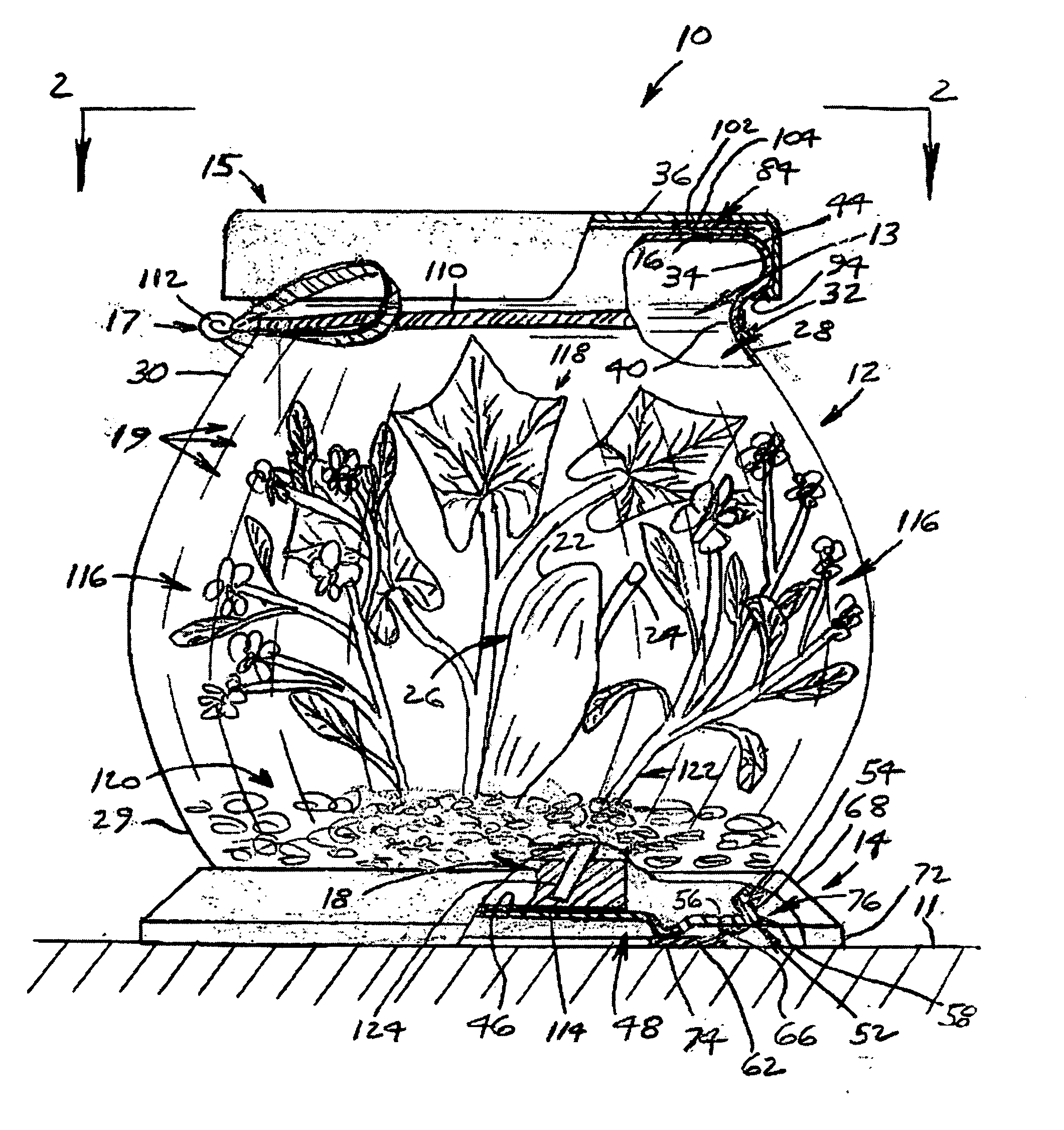 Metamorphosizing gift item and method of gift-giving which utilizes the life-cycle of a living being