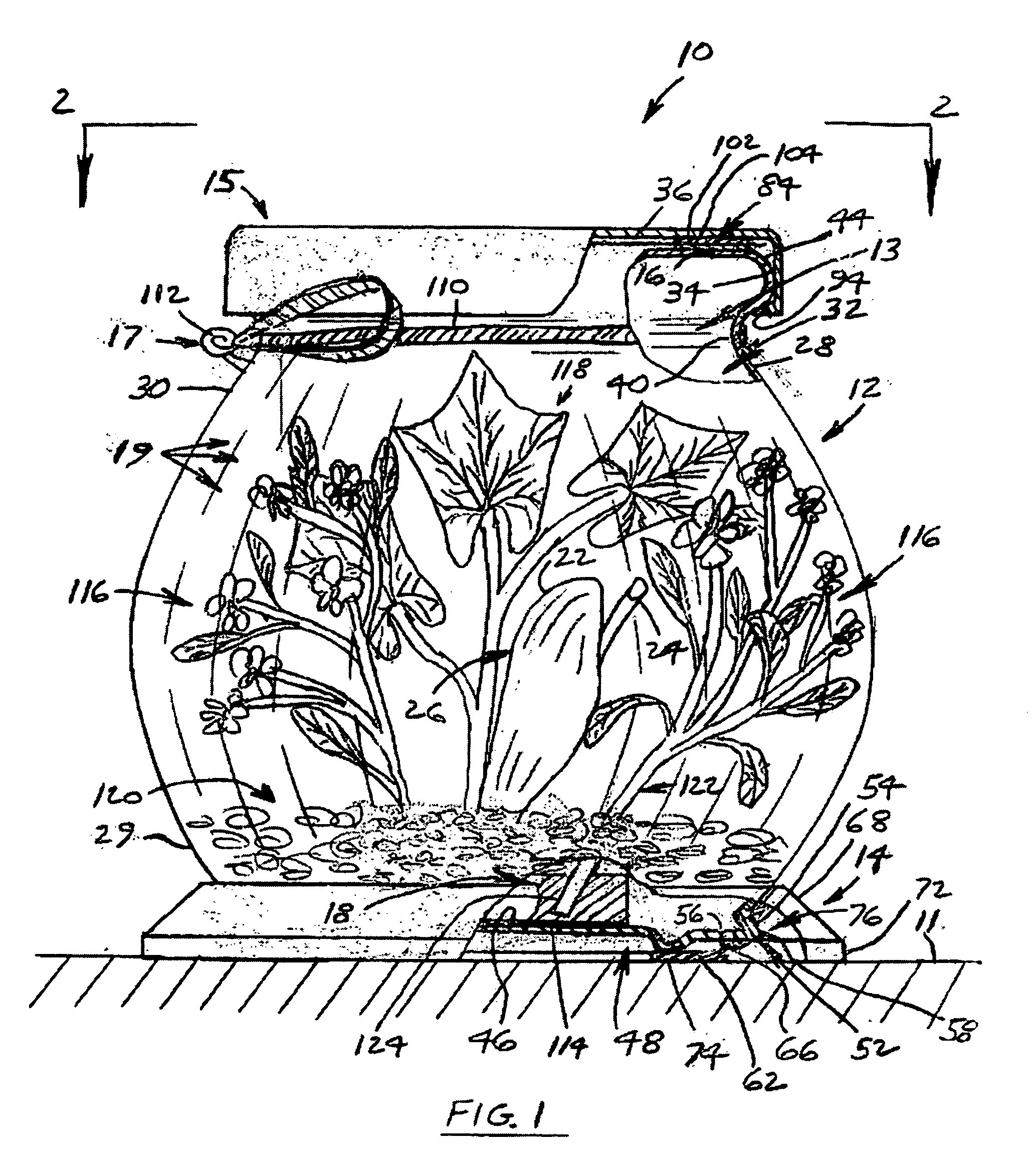 Metamorphosizing gift item and method of gift-giving which utilizes the life-cycle of a living being