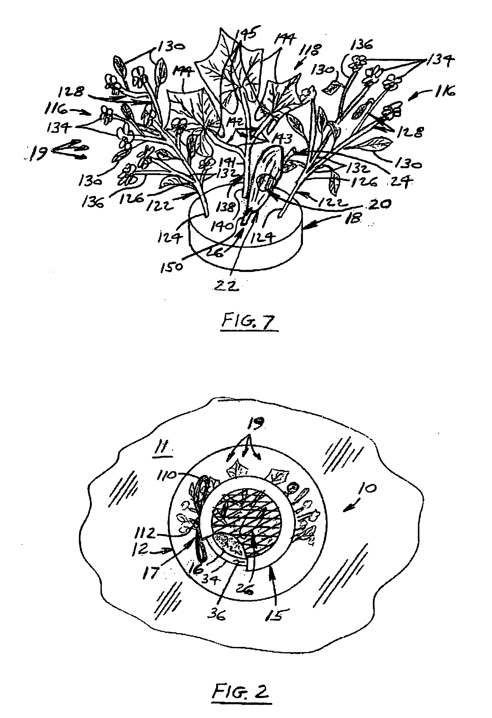 Metamorphosizing gift item and method of gift-giving which utilizes the life-cycle of a living being