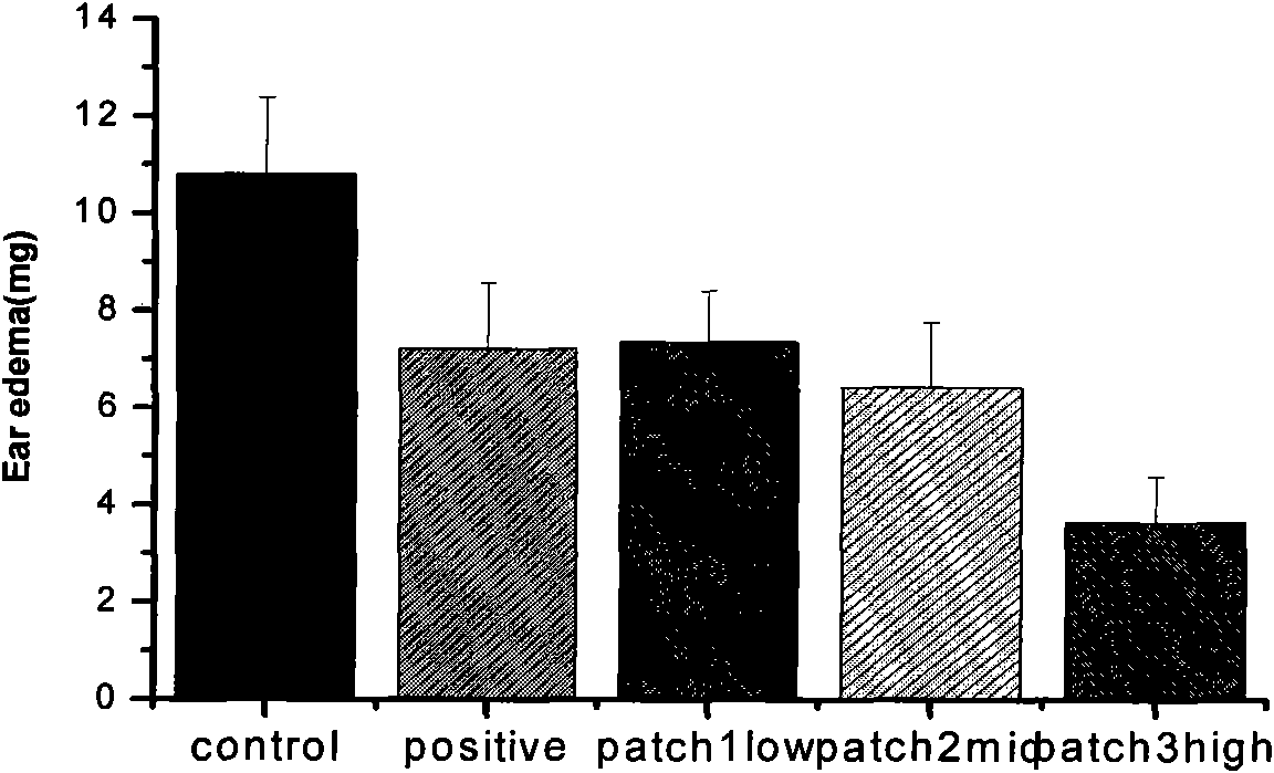 Lornoxicam hydrogel patch and preparation method thereof