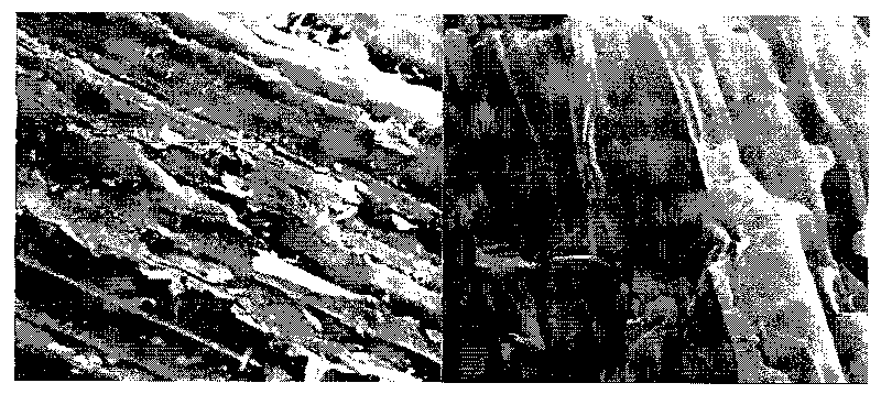 Agricultural waste anion adsorbent and application thereof