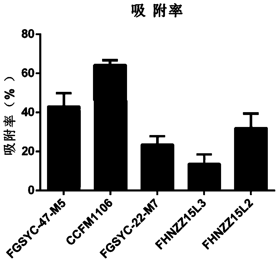 Multifunctional enterococcus faecium CCFM1106 and feed additive thereof, and applications of multifunctional enterococcus faecium CCFM1106 and feed additive