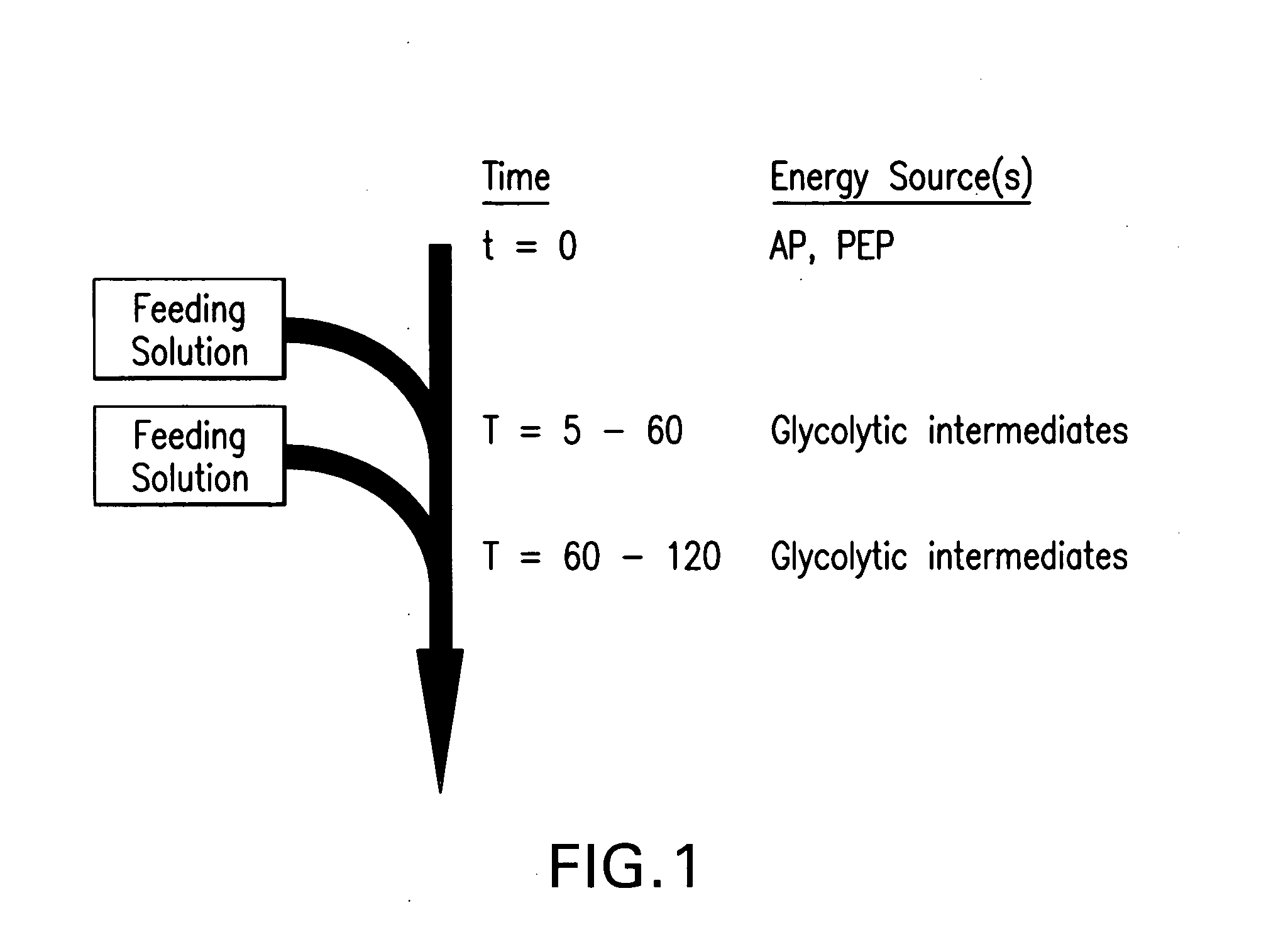 Feeding buffers, systems, and methods for in vitro synthesis of biomolecules