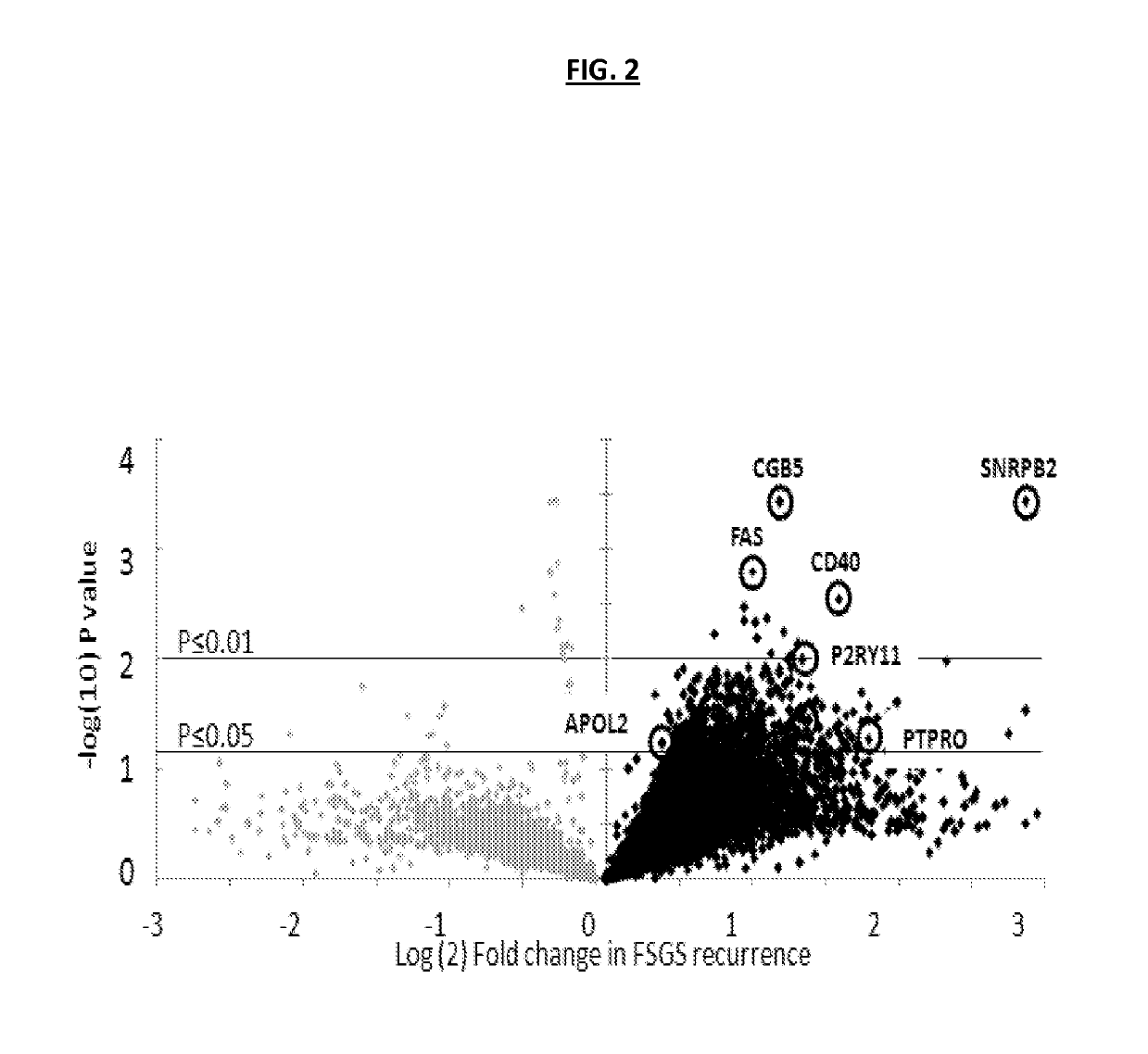 Methods and compositions for the prediction and treatment of focal segmental glomerulosclerosis