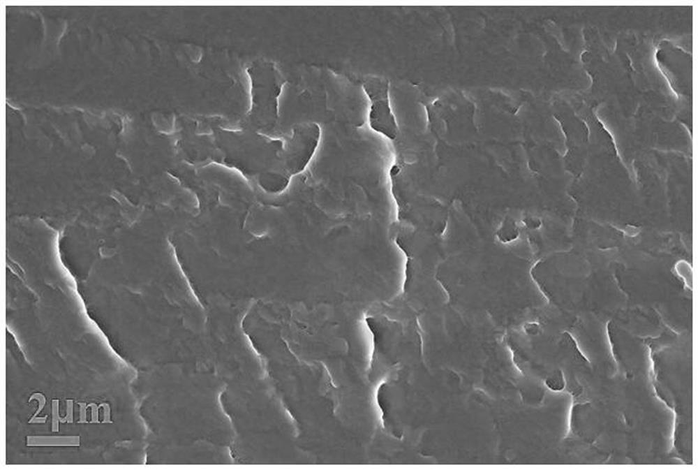 A kind of preparation method of boron nitride modified layered double metal hydroxide/polyvinyl alcohol separation membrane