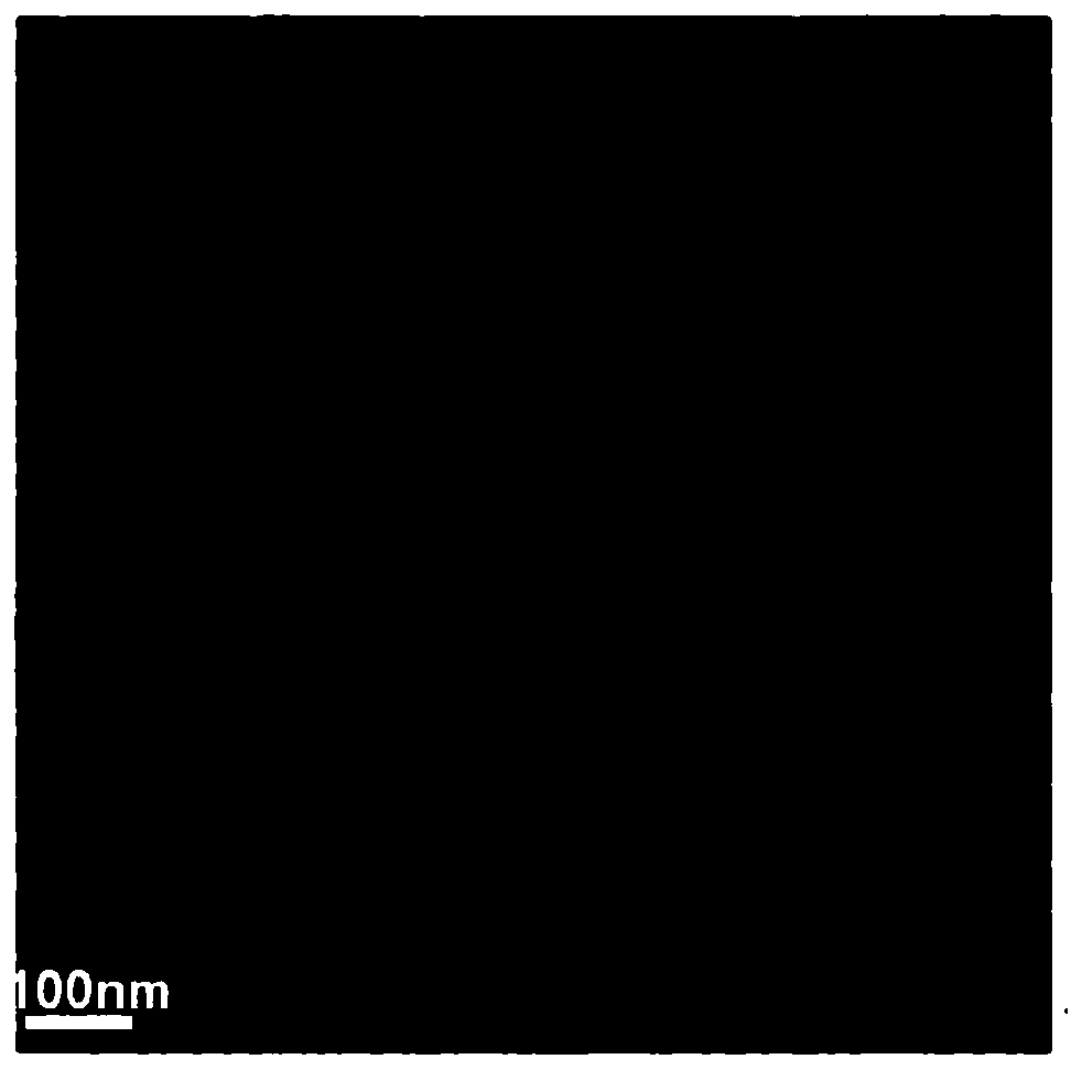 Sulfur quantum dot and preparation method and application thereof