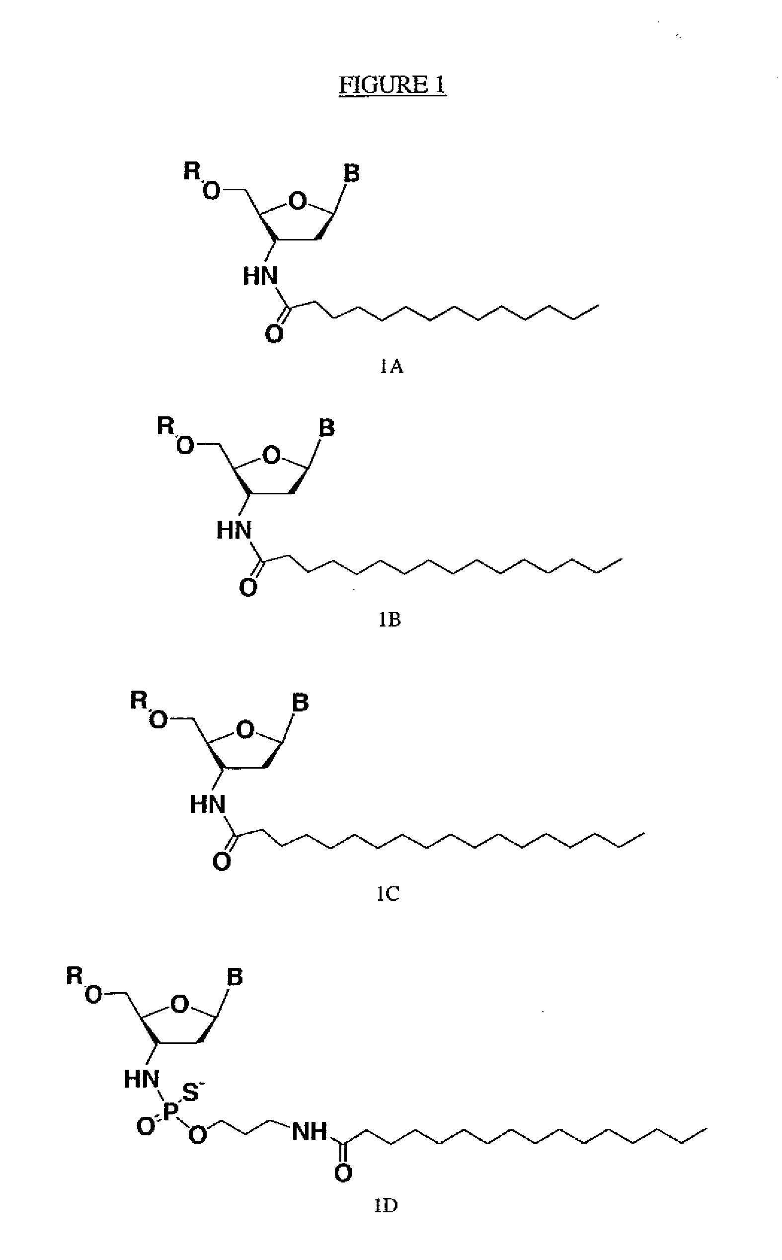 Modified oligonucleotides for telomerase inhibition