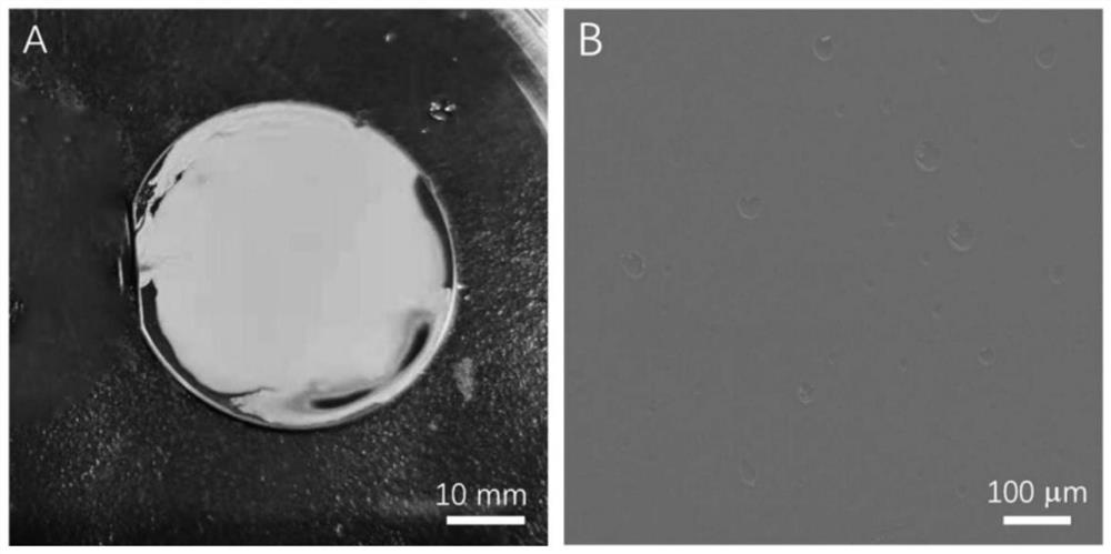 Preparation method of modified silicon wafer loading material and application of modified silicon wafer loading material in cell culture