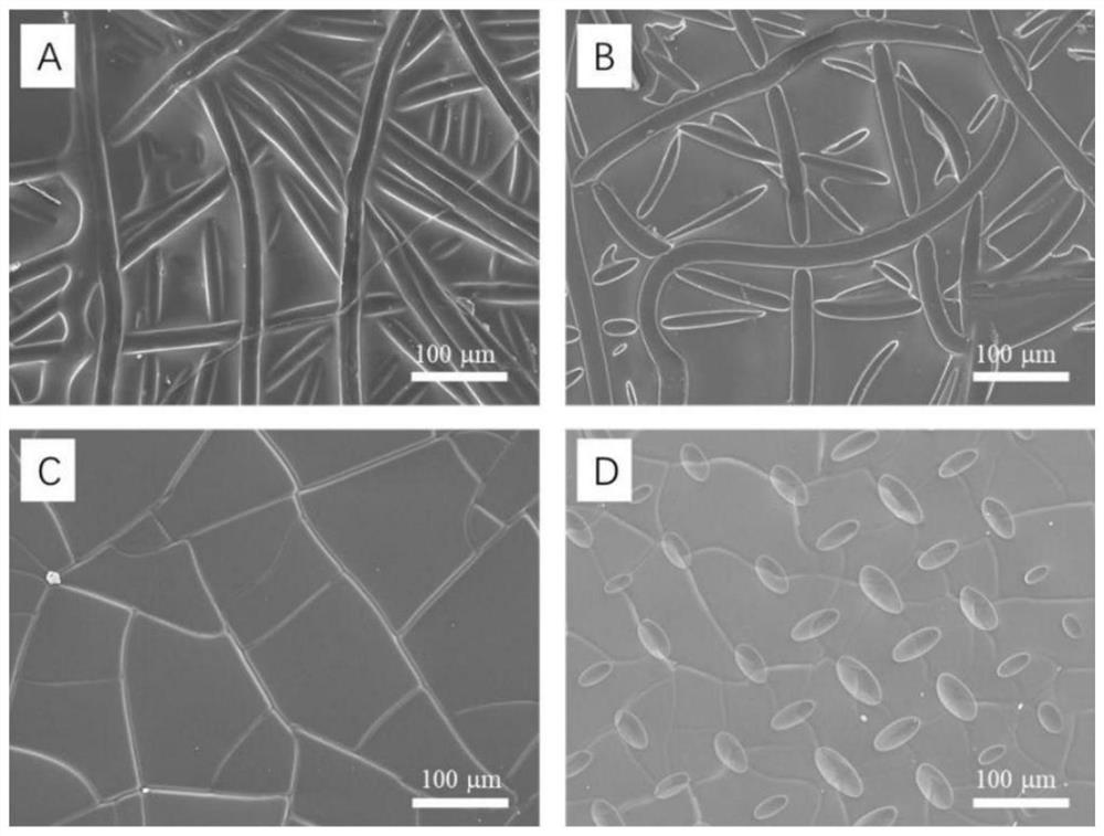 Preparation method of modified silicon wafer loading material and application of modified silicon wafer loading material in cell culture