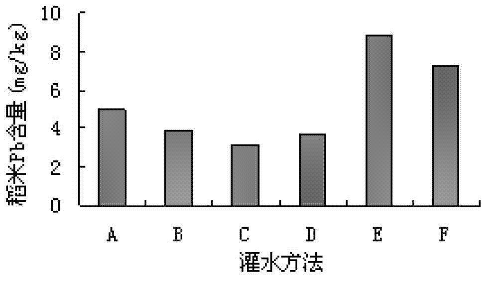 Paddy field irrigation method for reducing lead content of paddy