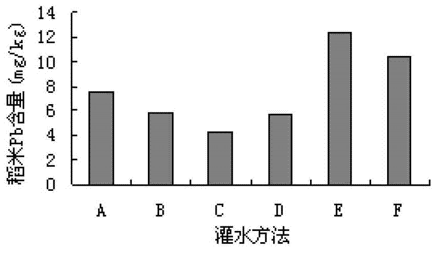 Paddy field irrigation method for reducing lead content of paddy