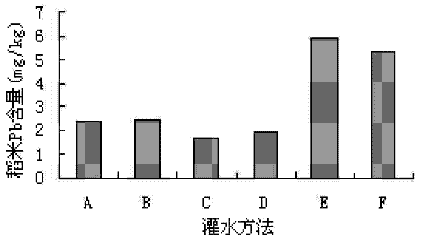 Paddy field irrigation method for reducing lead content of paddy