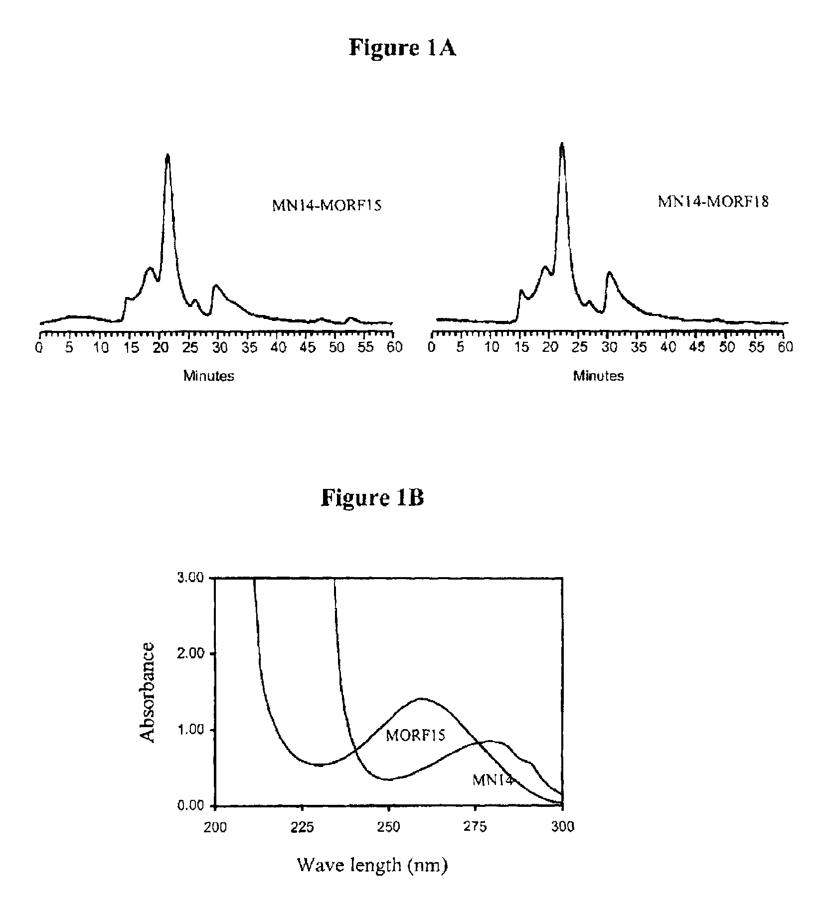 Morpholino imaging and therapy