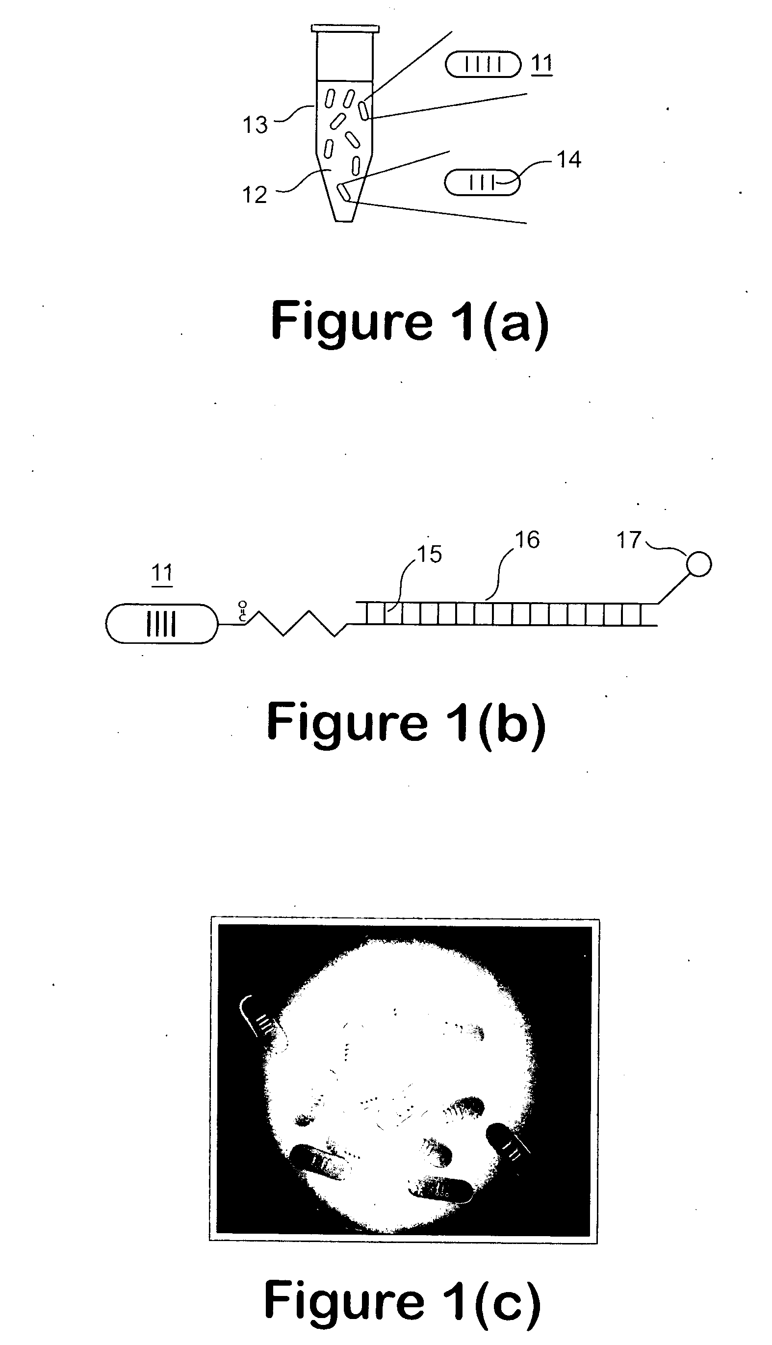 Light transmitted assay beads