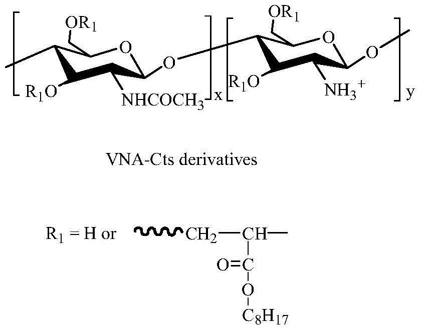 Preparation method and applications of chitosan derivative absorbent