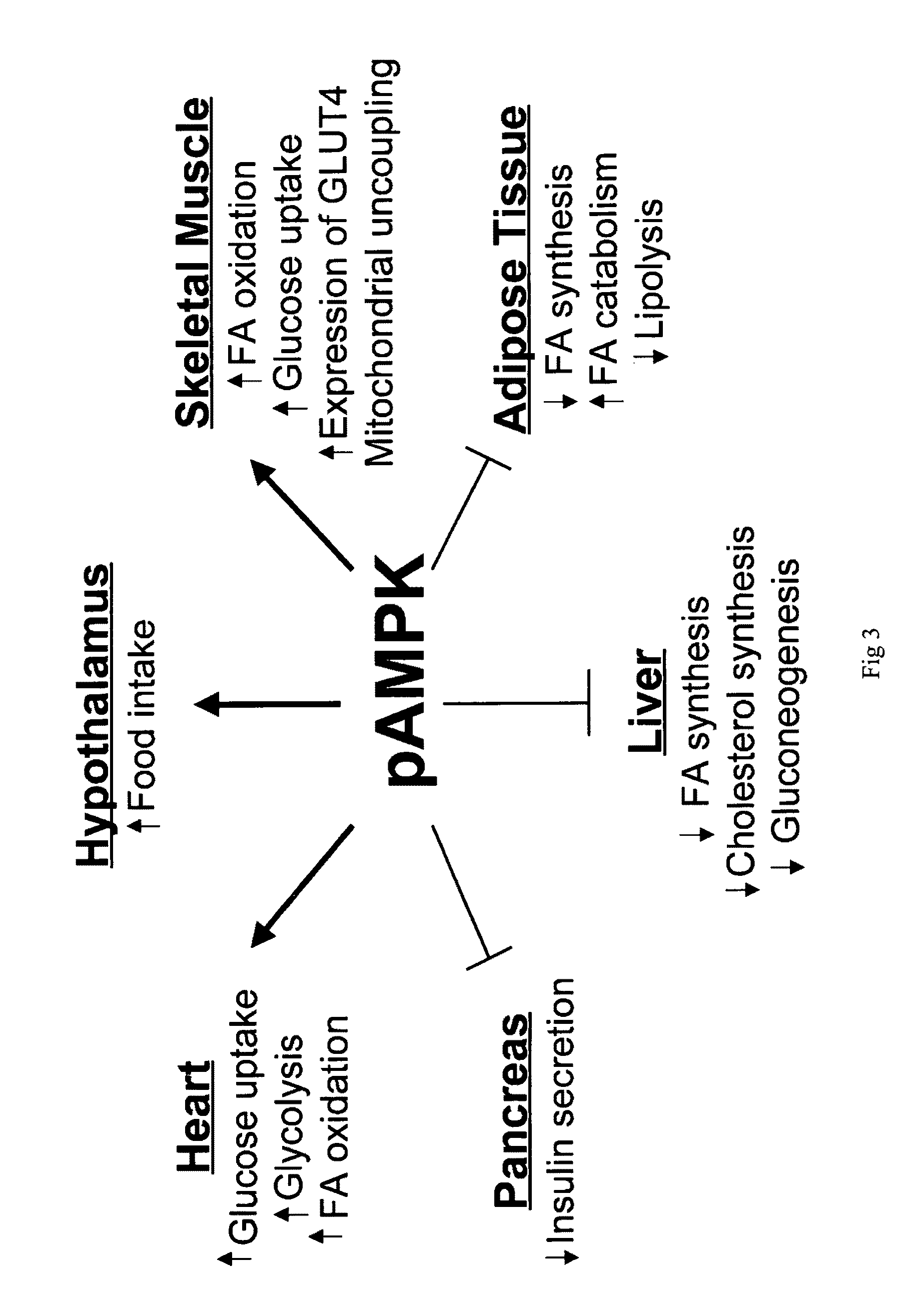 Compositions from Nigella sativa