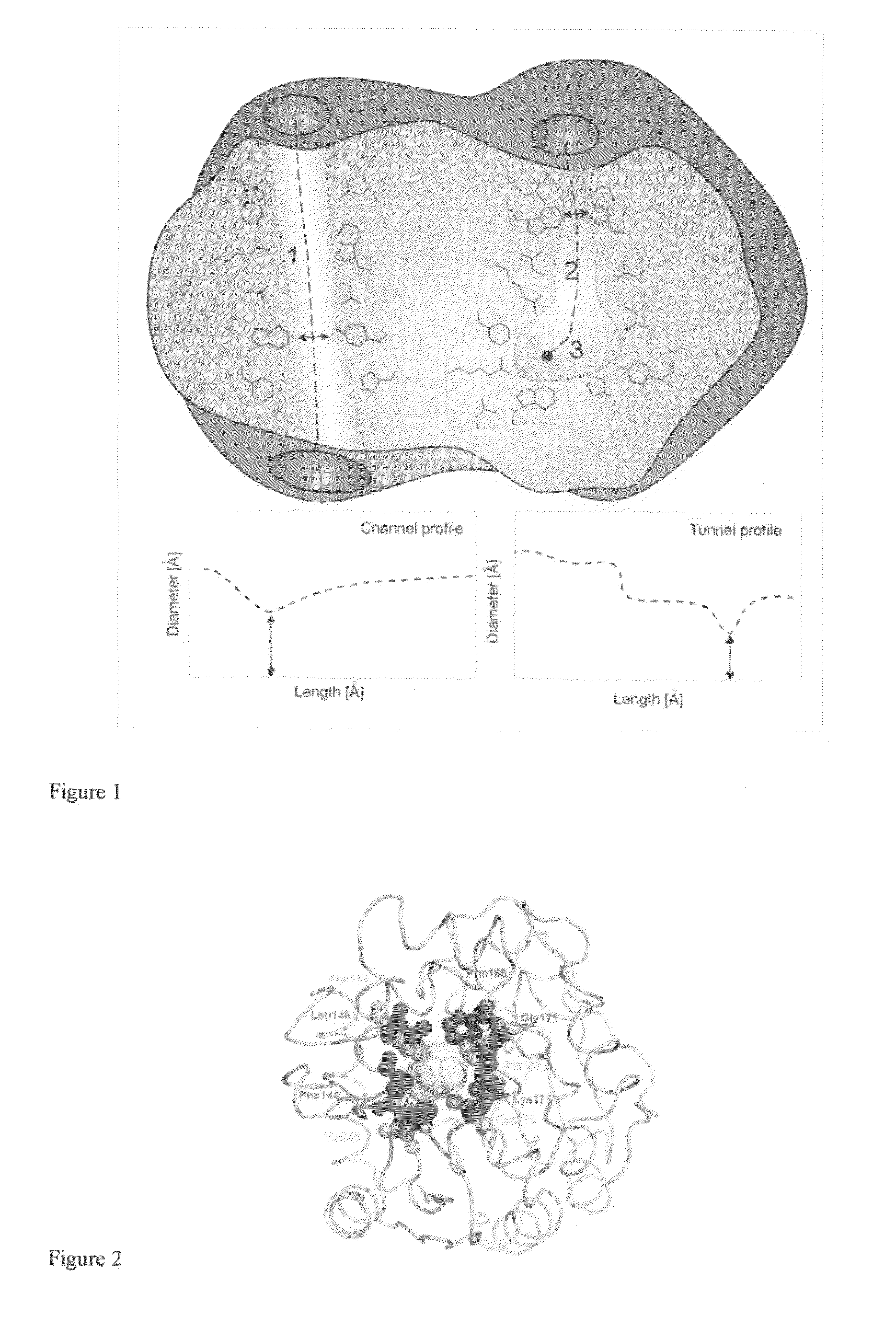 Method of thermostabilization of a protein and/or stabilization towards organic solvents