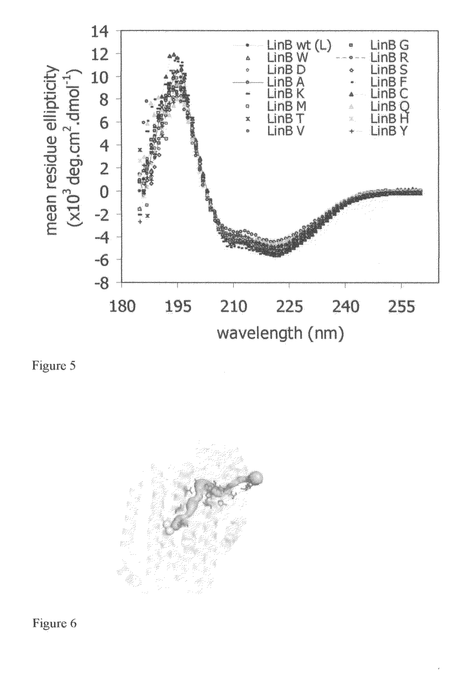 Method of thermostabilization of a protein and/or stabilization towards organic solvents