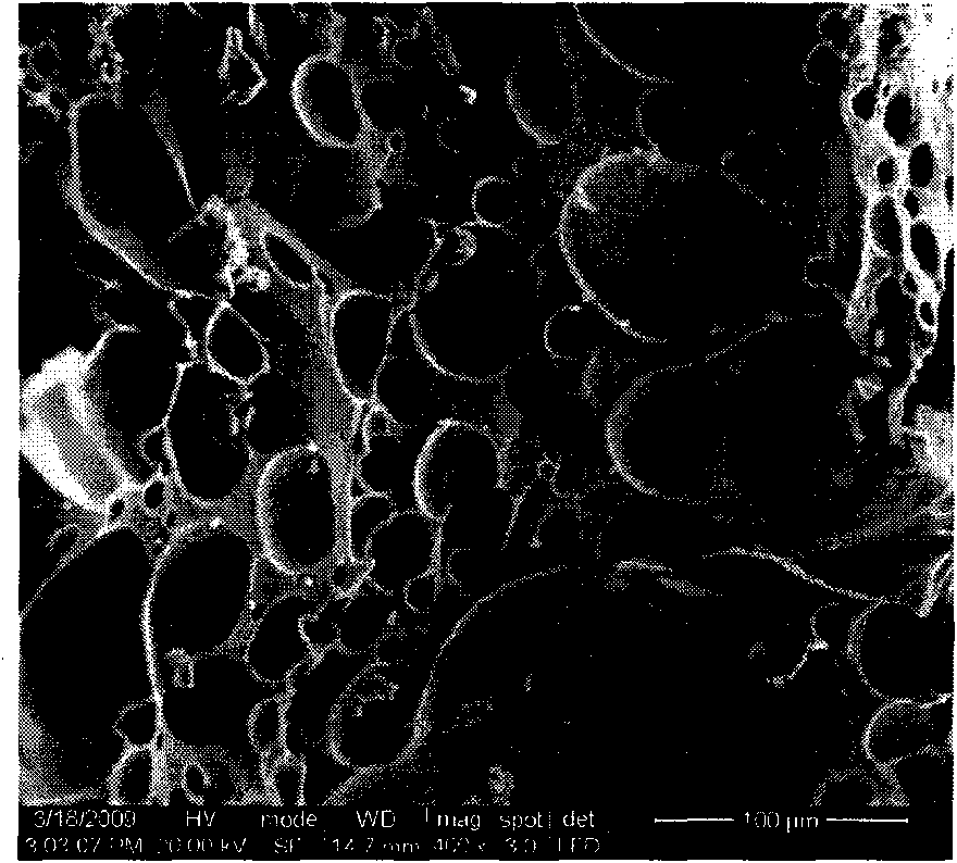 Novel composite perlite board for fire prevention and heat insulation and manufacturing method thereof