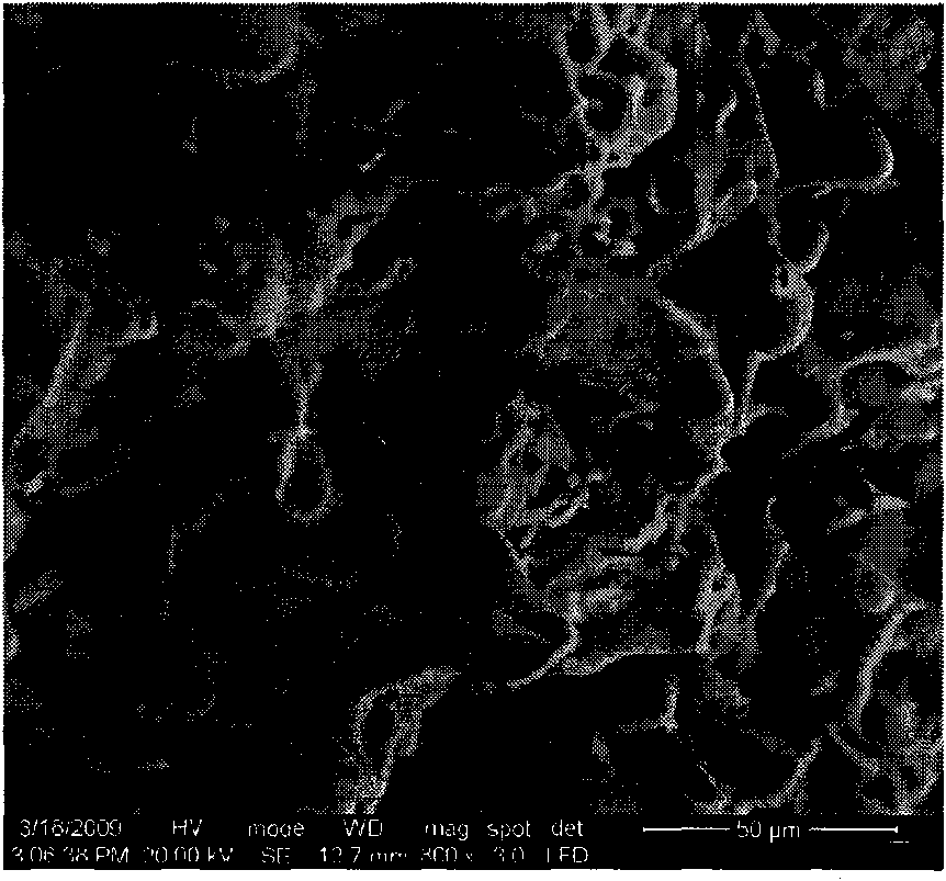 Novel composite perlite board for fire prevention and heat insulation and manufacturing method thereof