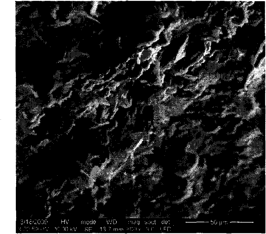 Novel composite perlite board for fire prevention and heat insulation and manufacturing method thereof