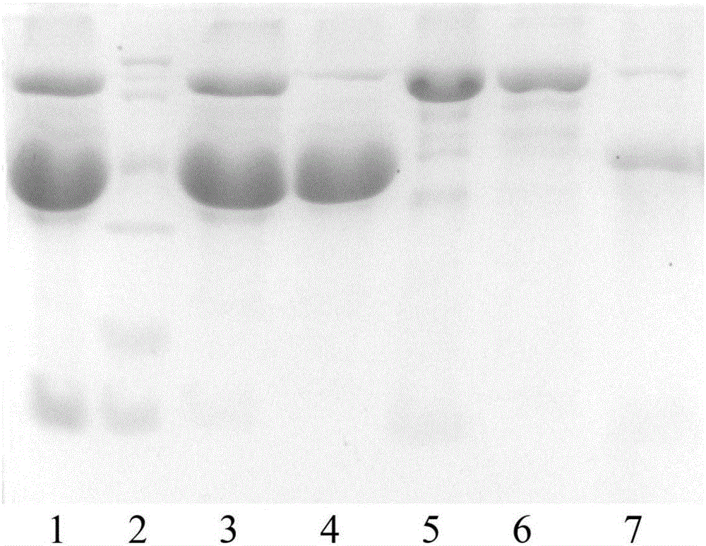 Method for co-preparing ovalbumin and ovotransferrin