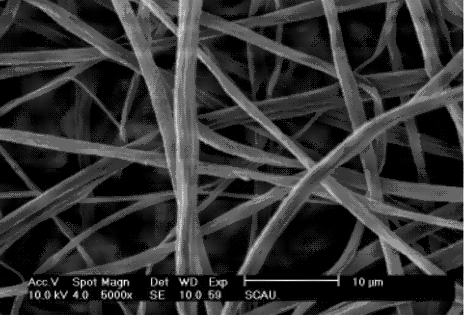 Nano TiO2-modified PEO/PVDF composite ultra-filtration membrane and preparation method thereof