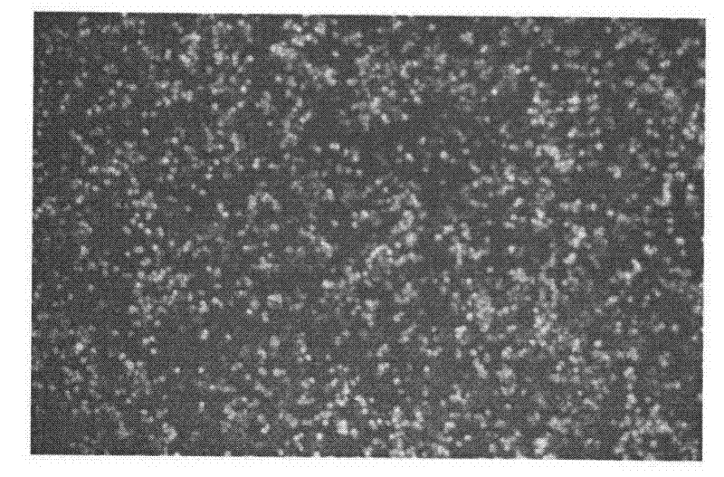 Non-viral transfection reagent, preparation method of complex of non-viral transfection vector reagent and plasmid DNA, and application thereof