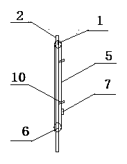 Chrysanthemum planting lodging preventing device